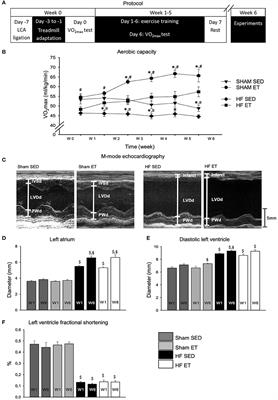 Exercise Training Stabilizes RyR2-Dependent Ca2+ Release in Post-infarction Heart Failure